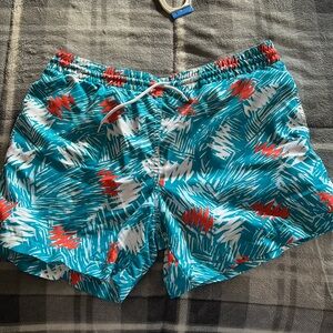 Chubbies swim trunks